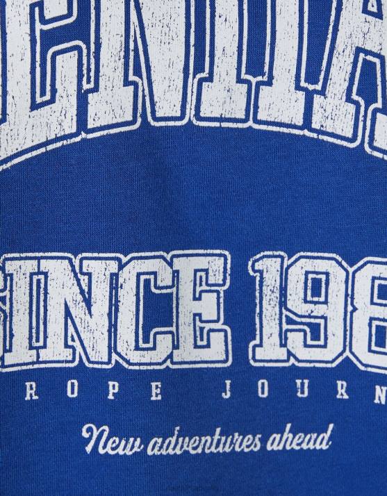 Blau Bershka Frauen Übergroßes bedrucktes Sweatshirt H00J1221