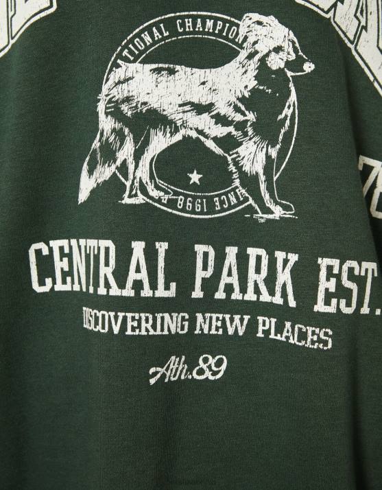 Grün Bershka Frauen Übergroßes bedrucktes Sweatshirt H00J1232