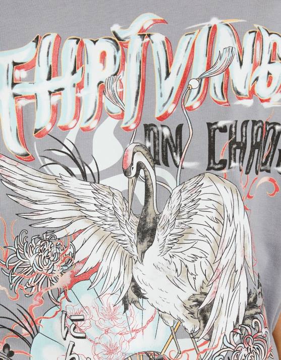 dunkelgrau Bershka Frauen Bedrucktes, kurzärmliges Oversize-T-Shirt H00J431